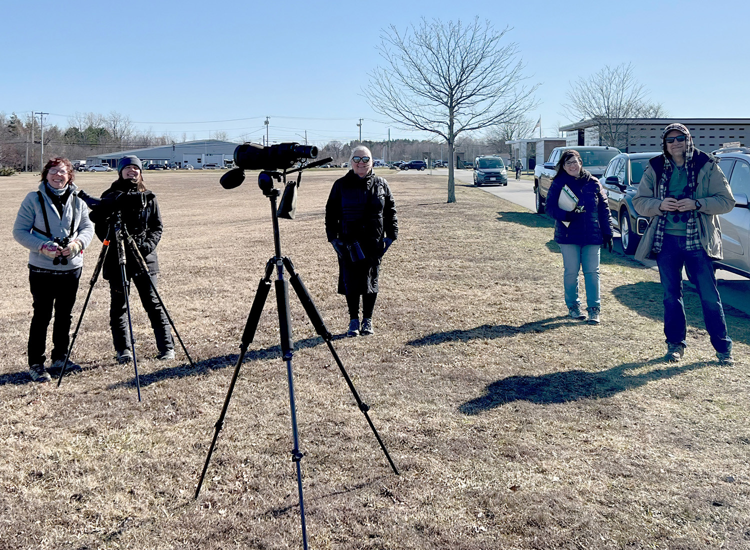 image of hawk watch counters